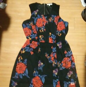 Red-coral Black summer dress